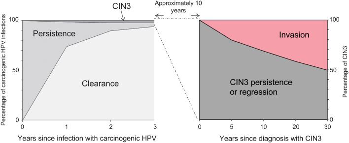 HPV Clearance and Progression Median age CIN3 in Guanacaste vs. NZ: 27 vs.