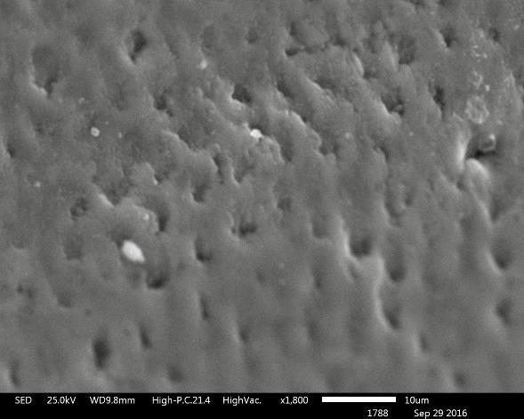 7.4 Cambios estructurales de las muestras de esmalte La microscopía electrónica de barrido evidenció cambios