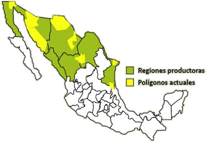 Eje 1: Maximizar polígonos actuales Estados 2010 EJE 1 Tamaulipas 5 65 La Laguna
