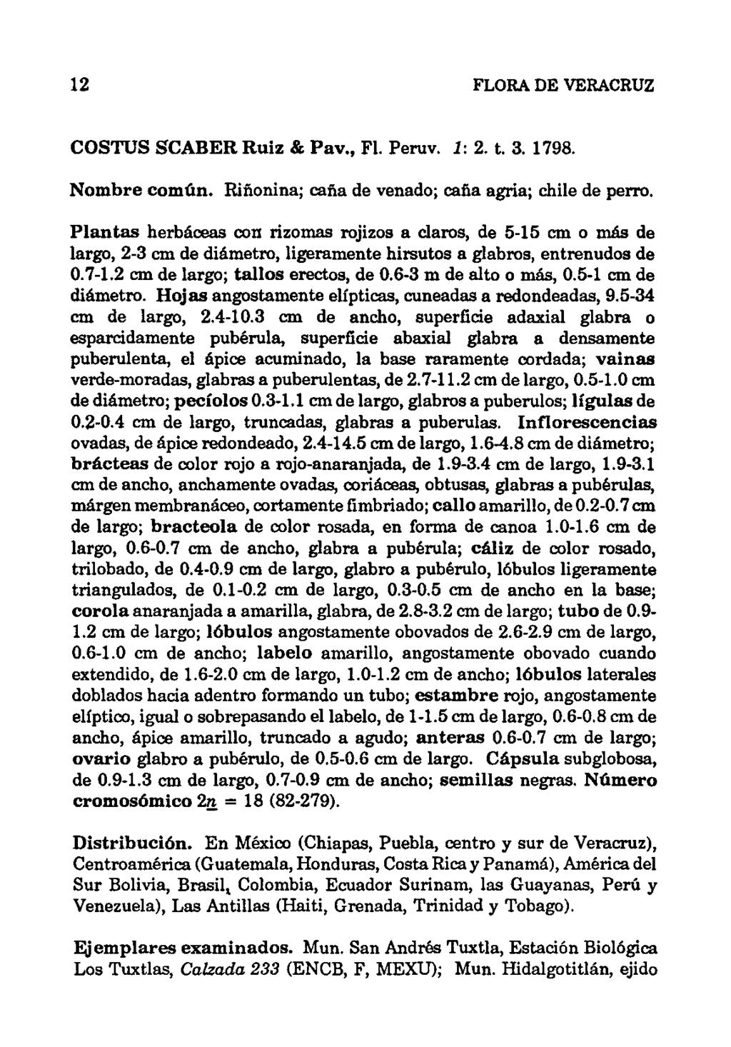 12 FLORA DE VERACRUZ COSTUS SCABER Ruiz & Pav., Fl. Peruv. 1: 2. t. 3. 1798. Nombre común. Riñonina; caña de venado; caña agria; chile de perro. Plantas herbáceas COl!