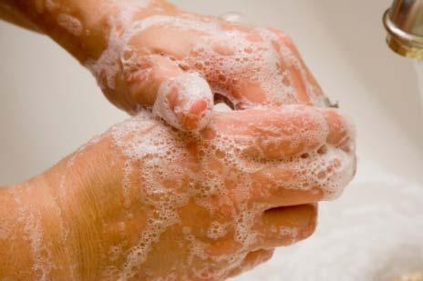 RECOMANACIONS GENERALS Renteu-vos les mans amb freqüència - Després d anar al bany o tocar alguna cosa bruta - Abans de dinar, cuinar o tocar aliments -
