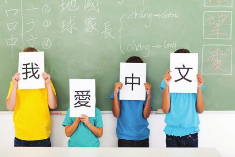 CHINO Haciéndonos eco de la demanda creciente del estudio de chino, ofrecemos la opción de adentrarse en esta fascinante lengua desde un acercamiento didáctico y pedagógico a la vez que lúdico y