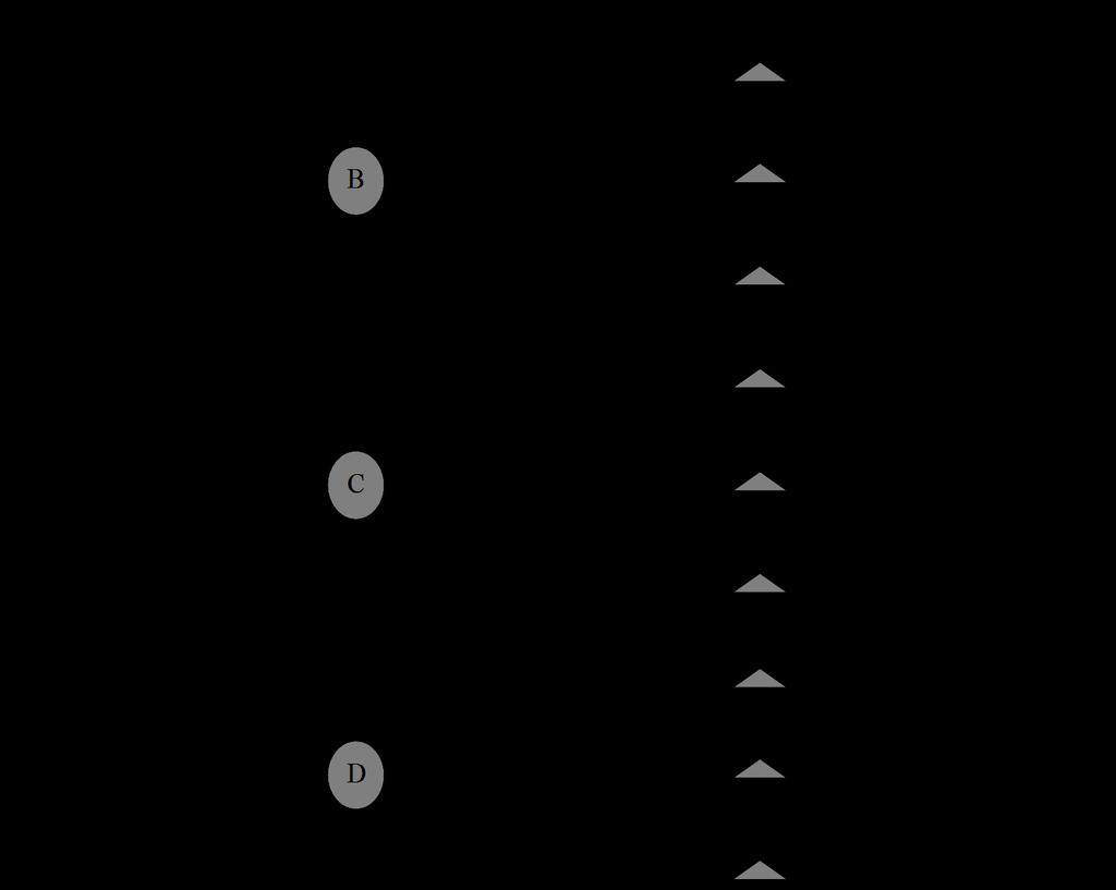 Figura 3.4 Representación del árbol de decisión.