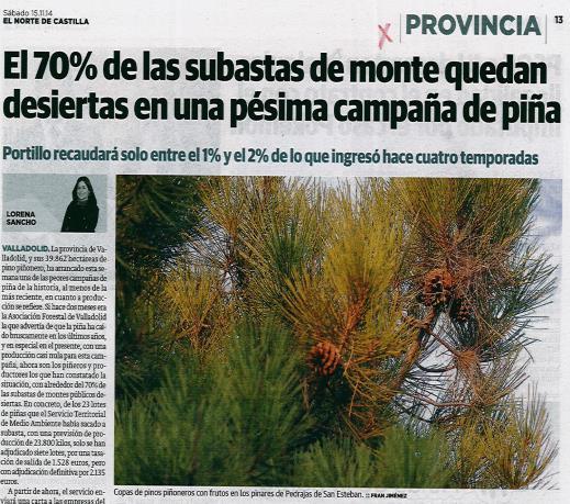 La Seca de la Piña - pérdida severa de producción de piña y piñón en el Mediterráneo.