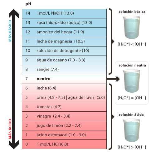 Problemática del agua: Química ph (6,5-8,5) ph muy elevado: Debilita la cloración Precipita medicamentos ph muy bajo: Daña