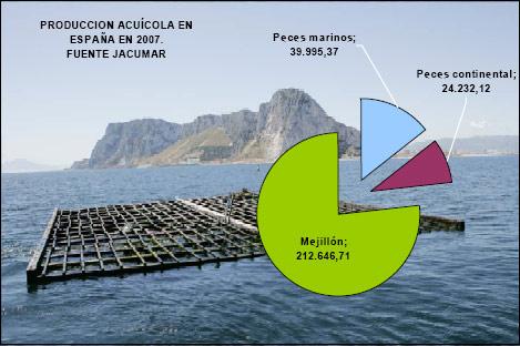 España reúne condiciones favorables para la acuicultura, al