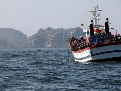 11. 1 INTRODUCCIÓN España: potencia pesquera mundial: Tamaño de la flota (tonelaje y potencia) Volumen de capturas Valor de pesca desembarcada