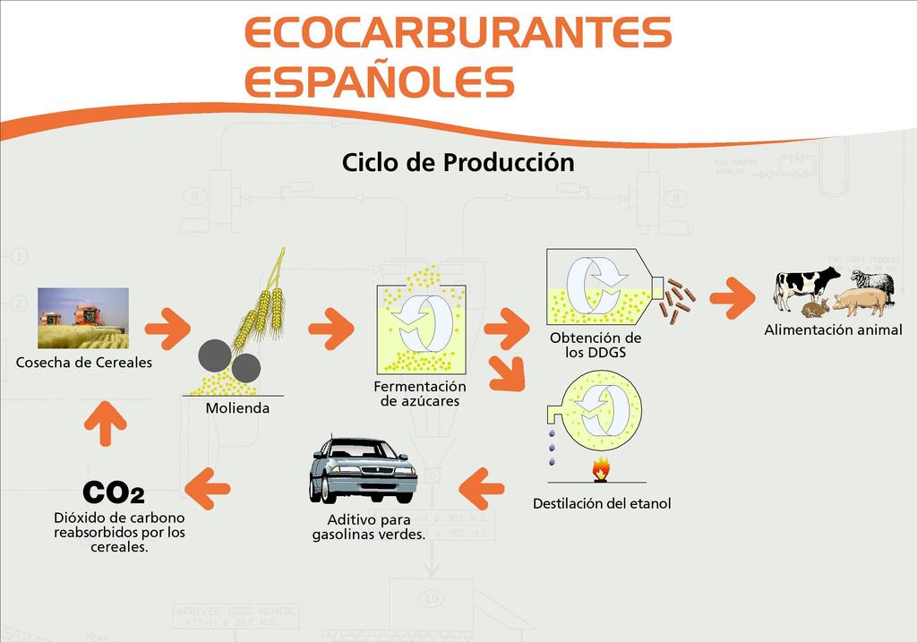 Descripción del Proceso Energía Renovable. Ciclo de Producción de Bioetanol.