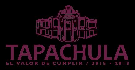 AYUNTAMIENTO MUNICIPAL DE TAPACHULA, CHIAPAS PROGRAMA OPERATIVO ANUAL EJERCICIO 2015-2018 DEPENDENCIA: SECRETARÍA DE SEGURIDAD PÚBLICA MUNICIPAL UNIDAD RESPONSABLE: SECRETARIO DE SEGURIDAD PÚBLICA