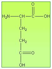 El ión amonio se incorpora a los aminoácidos por medio del Glutamato y la Glutamina Glutamato Glutamina α α El grupo alfa amino de la mayoría de los aa proviene de la