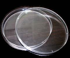 Caja Petri Desechable, Estéril 90*20 mm, Buena resistencia