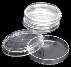 D1003 Caja Petri Desechable, Estéril 90*15 mm, 2 Divisiones