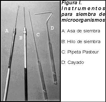 Varillas de vidrio macizo acodadas (cayados): Sirven para distribuir los microorganismos de la muestra sobre la superficie del medio de cultivo contenido en una placa de Petri.