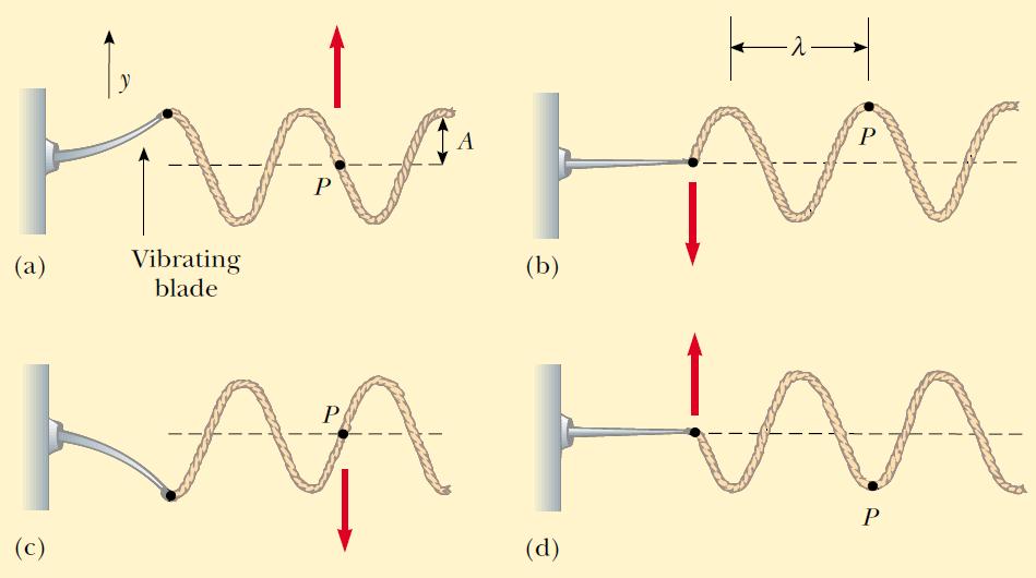 Se pueden generar ondas sinusoidales en una cuerda atando un extremo a una varilla que oscila (OAS).
