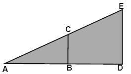 A) x² 2 B) x² +
