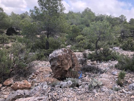 Roca aislada Agrupación de piedras Árbol especial (encina) Árbol destacado DISTANCIAS Y DESNIVELES En