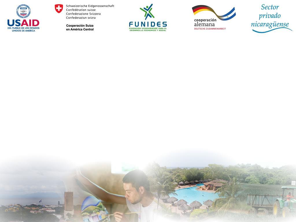 Fundación Nicaragüense para el Desarrollo Económico y Social IV Informe