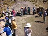 Distrito de Pilpichaca Huaytara 23 alpacas registradas para los registros genealógicos.