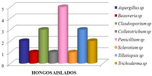 Figura 2. Frecuencia de los géneros de hongos aislados de las plantaciones de plátano Musa AAB, en la zona de bosque seco del sur del Lago de Maracaibo.