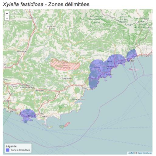 Plan Contingencia Xylella fastidiosa 2018 de Córcega y 26 brotes en los Departamentos de Alpes y Var (Región PACA).