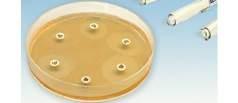 MASTDISCS Antibióticos cartuchos 5 x 50 Viales 100 discos MASTDISCS Antifúngicos cartuchos 5 x 50 Viales 100 discos MAST ADATAB - Antibióticos para difusión en agar ADATAB es una pastilla liofilizada