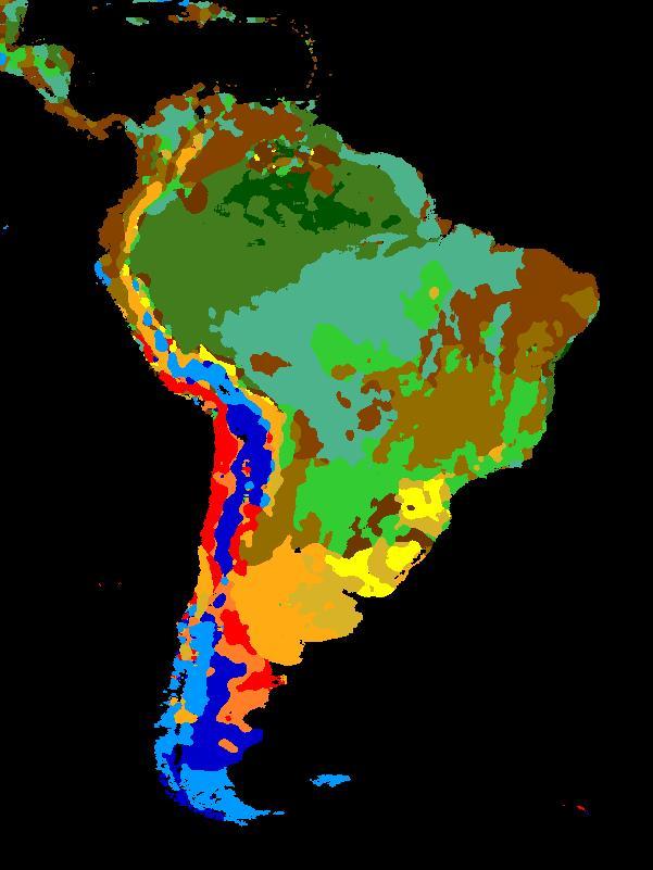 ANALISIS MULTITEMPORAL Thermo-NDVI classification Clasificación de la vegetación de América del Sur en función de la climatología (análisis