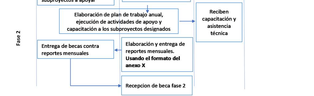 FIGURA 3 Criterios de evaluación para la selección de la fase I del componente 2.