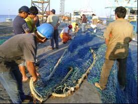 prospección del recurso Perico y determinar las características de operatividad del arte de pesca.