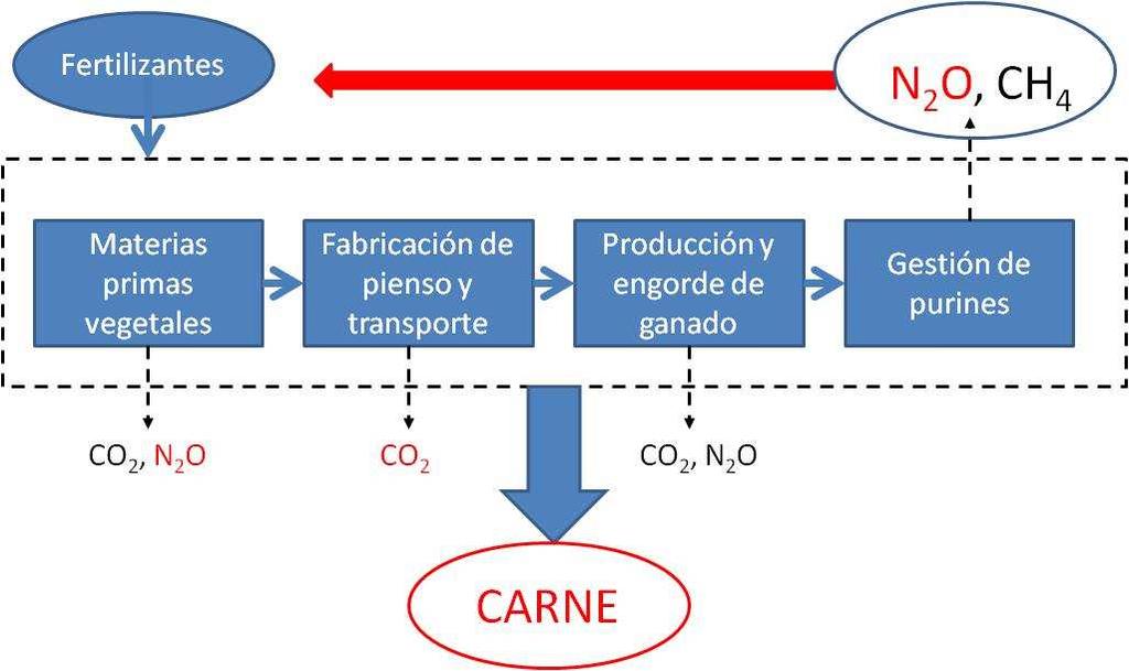 -Los fertilizantes minerales producen gases de efecto invernadero: 65% debido a la emisión de N2O y 35% por la fabricación.
