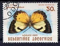 1982 Julio 15 : Mariposas (5 valores) (Y & T : 1076 1078 + A 477 A 478) (Scott : 1139 1141 + C 474 C 475). 15 f 25 f Lepidoptera : Papilionidae : Papilio dardanus.