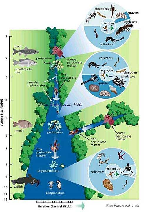 Hidrobiología Limnología Limnología= ecología de las aguas continentales.