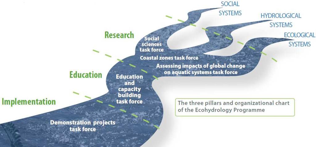 Visión moderna de los sistemas fluviales Ecohidrología,