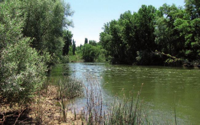 Introducción El agua es la esencia de la vida y como tal, es una de las principales fuentes de biodiversidad de Castilla y León, además de uno de los más importantes agentes de modelado del