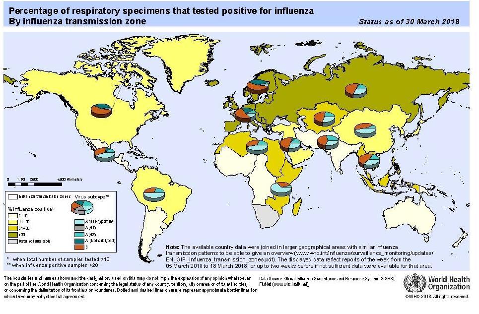 Situación Influenza a nivel mundial. Fuente: OMS. http://www.who.