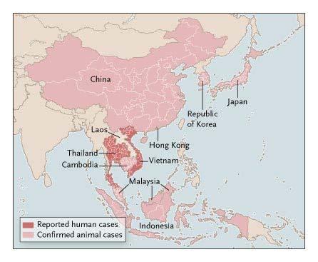 Países que reportaron casos de gripe aviar en 2004 21 4