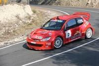 PEUGEOT 26 WRC (RICARDO