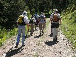 el tipo de sendero). El Trekking y el Montañismo podrían considerarse opciones similares al senderismo.