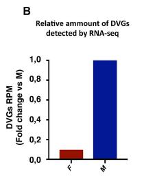 Influenza: factores de virulencia Algunas mutaciones específicas en los genes PB1, PB2, PA, HA, NA y NS1 Producción de genomas virales defectivos (DVGs): DVGs