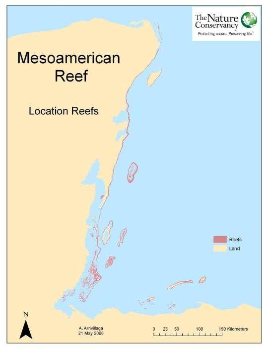 Caso del Arrecife Mesoamericano La segunda