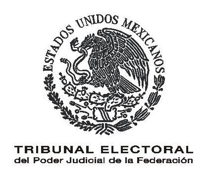 TRIBUNAL ELECTORAL DEL PODER JUDICIAL DE LA FEDERACIÓN BASES DE LA LICITACION