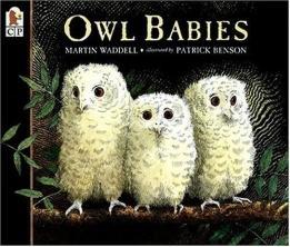 naturaleza Owl Babies Martin Waddell