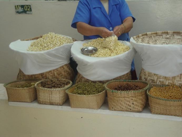 GUALACEO Los productos que forman parte de su dieta diaria son similares a los de Cumbe, entre ellos están: papas, camotes, zambos, maíz, cebada, quinua, trigo, avena, arroz; condimentos de dulce y