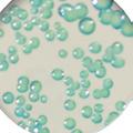 (16) RAPIDEZ SIMPLICIDAD FIABILIDAD > Agar chromid VRE Medio cromogénico para la detección de Enterococci resistentes a vancomicina Identificación directa de Enterococcus