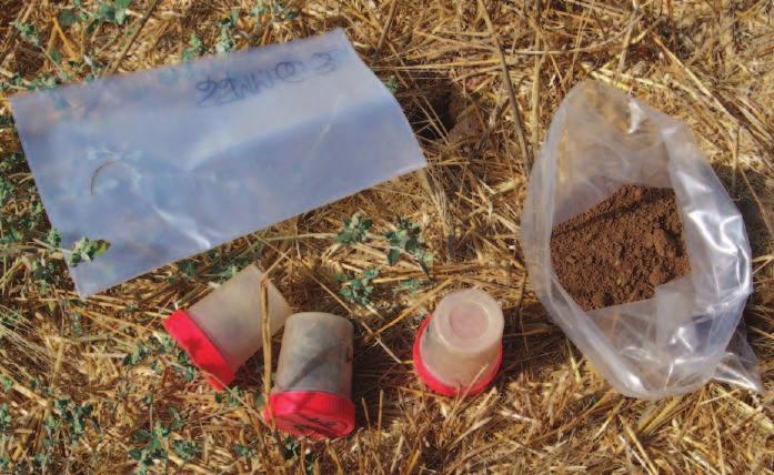 cultiu i el medi ambient. Imatge 5. Presa de mostres per a determinar el contingut de nitrats i humitat del sòl / Font: DARP 2008 3.