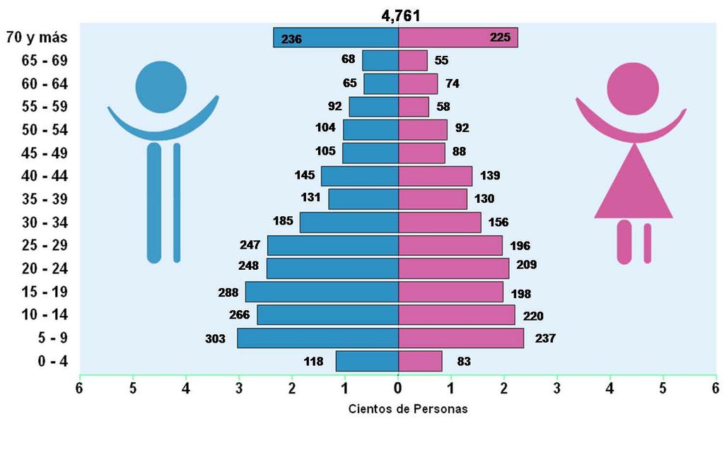 Pirámide de Población con discapacidad del lenguaje Jalisco, 2000 Fuente: Elaborado por el Consejo Estatal de Población con base en INEGI, XII Censo General de Población y Vivienda 2000.