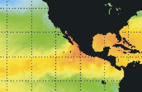 se presenta la temperatura mas fría en la porción N del Pacífico mexicano, con una termoclina superficial de 20 a 30 m de profundidad.