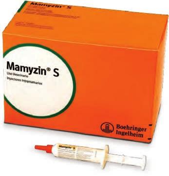 Mamyzin S - Terapia de Secado Es una combinación única de antibióticos que se complementan entre sí Cura las infecciones existentes Proporciona protección a largo plazo Es una solución flexible para