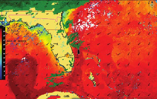 Icono Descripción Previsión en ciudad Observación en superficie Seguimiento de tormenta tropical; gris: histórico, rojo: actual, amarillo: previsto