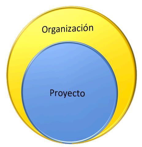 Introducción Los proyectos normalmente están inmersos dentro de organizaciones, por tanto su gestión interna debe estar a conformidad con los lineamientos de la organización.