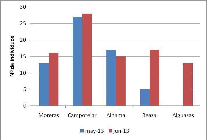 Figura 2. Comparación de individuos de Malvasía cabeciblanca durante los meses de mayo y junio de 2013.